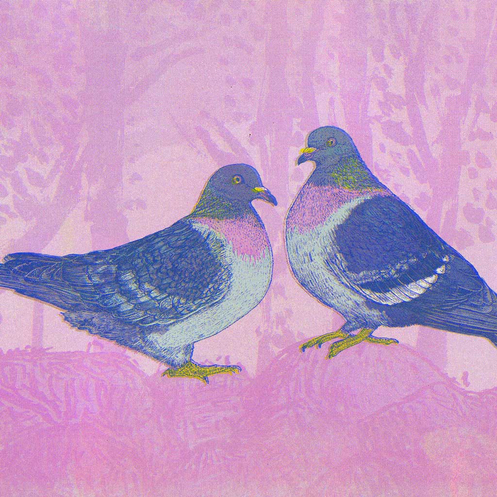 Pink Forest Pigeons - Limited Edition Risograph