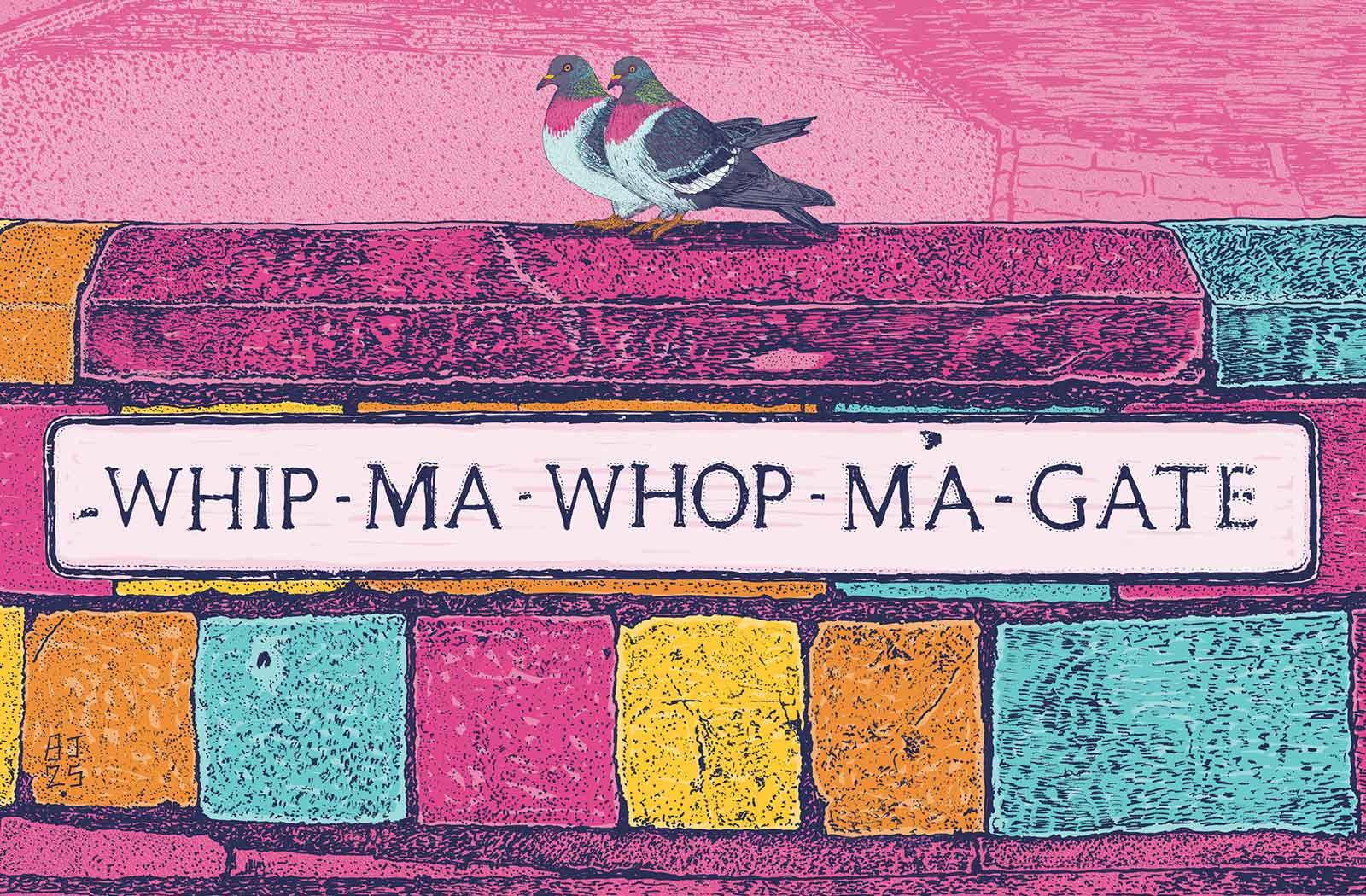 Colorful brick wall with a pigeon and text 'WHIP-MA-WHOP-MA-GATE' on a pink background