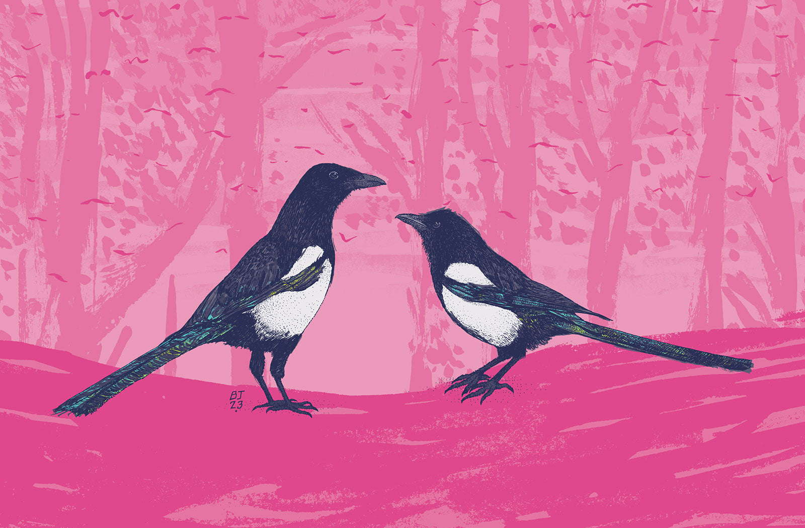 Magpies - Two for Joy