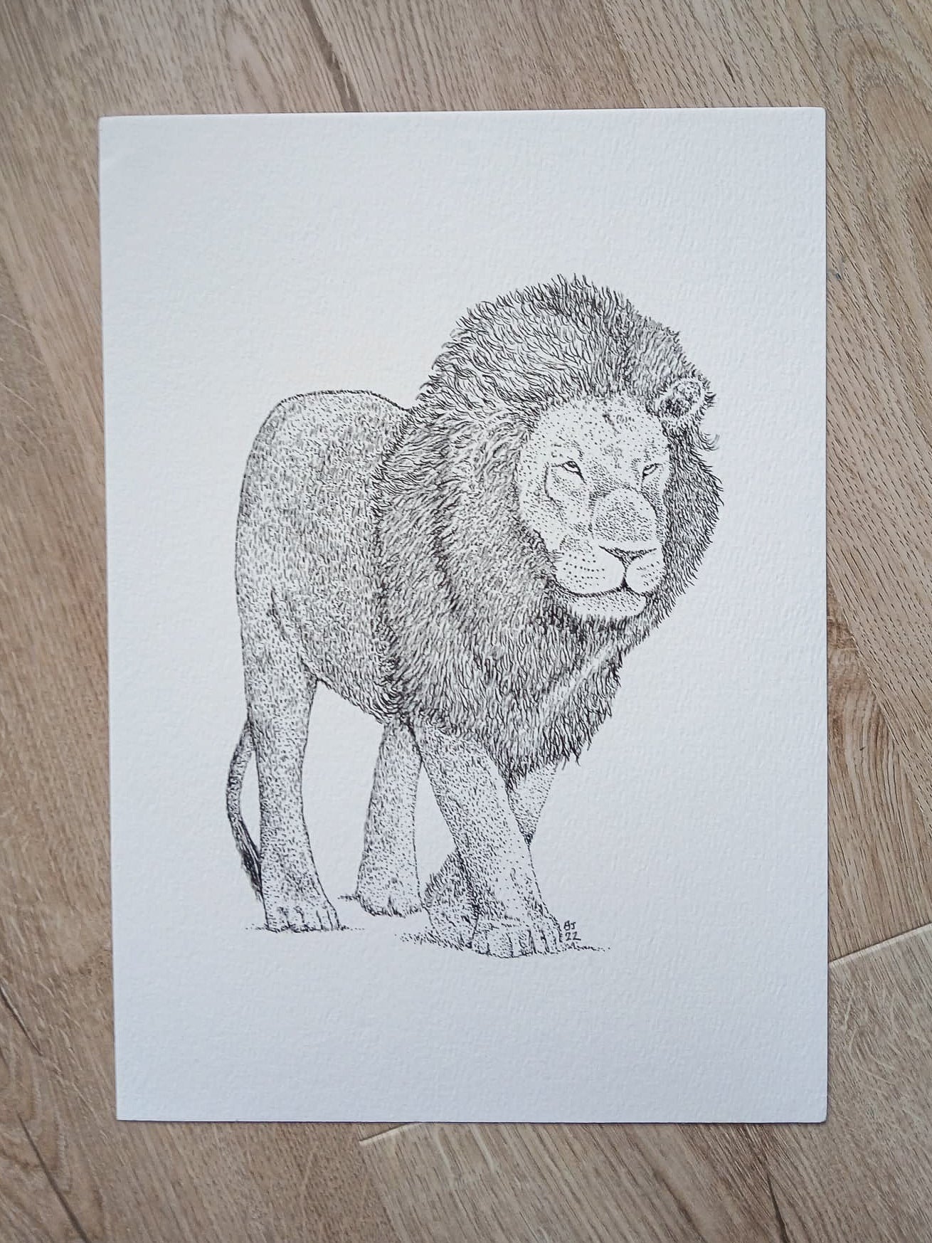 Lion - Original print