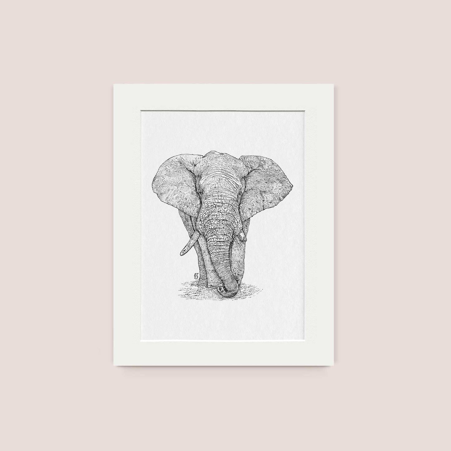 Elephant Black & White print - Bejojoart