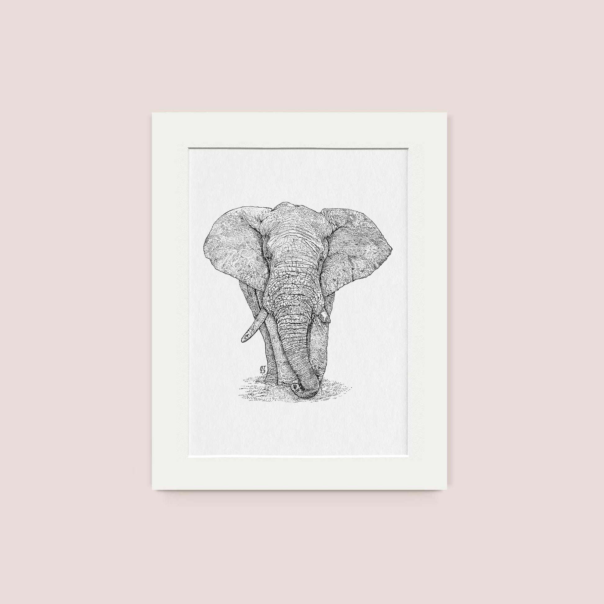 Elephant Black & White print - Bejojoart