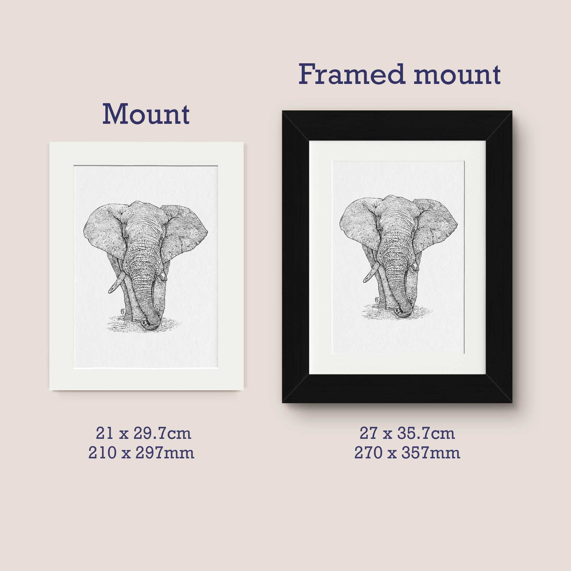 Elephant Black & White print - Bejojoart