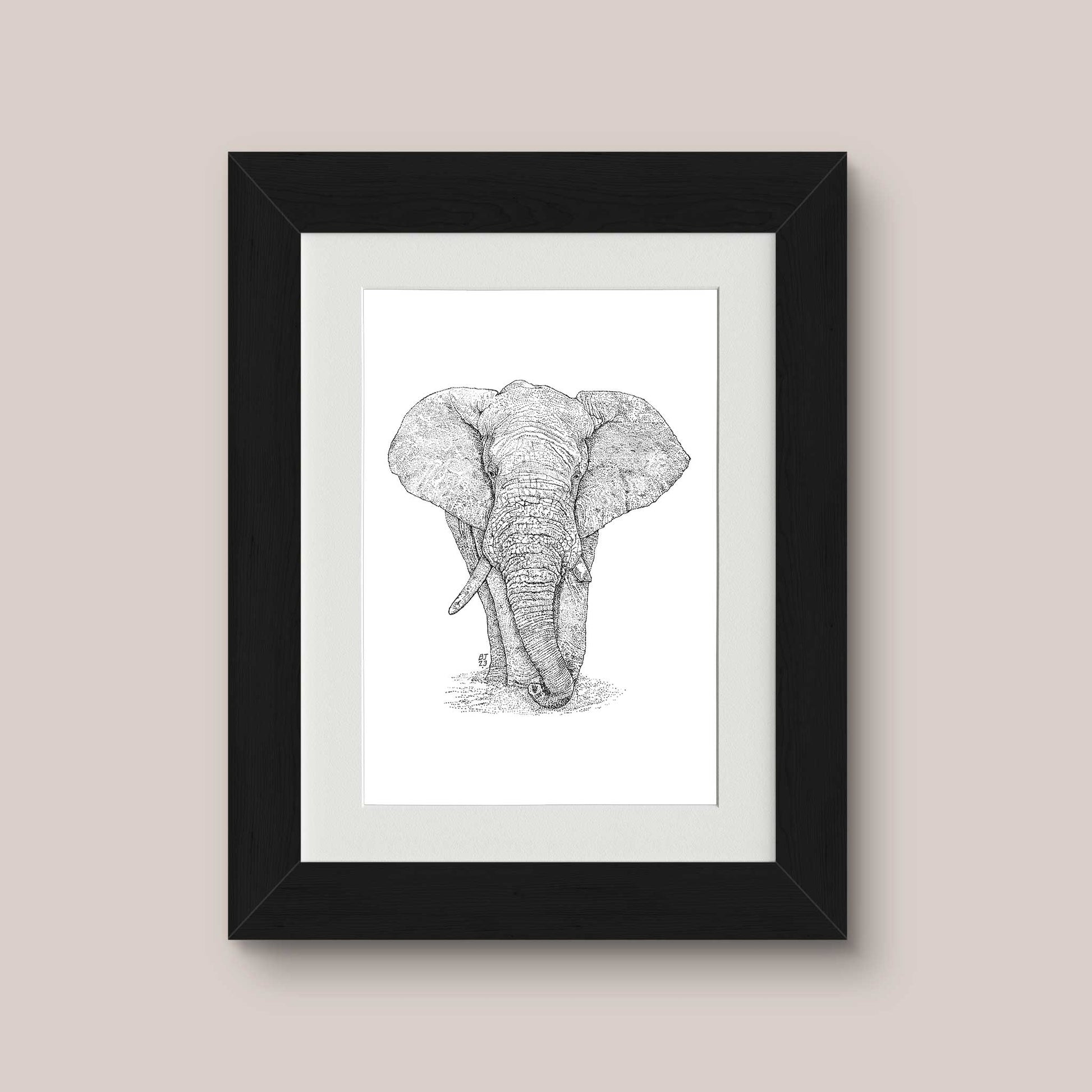 Elephant Black & White print - Bejojoart