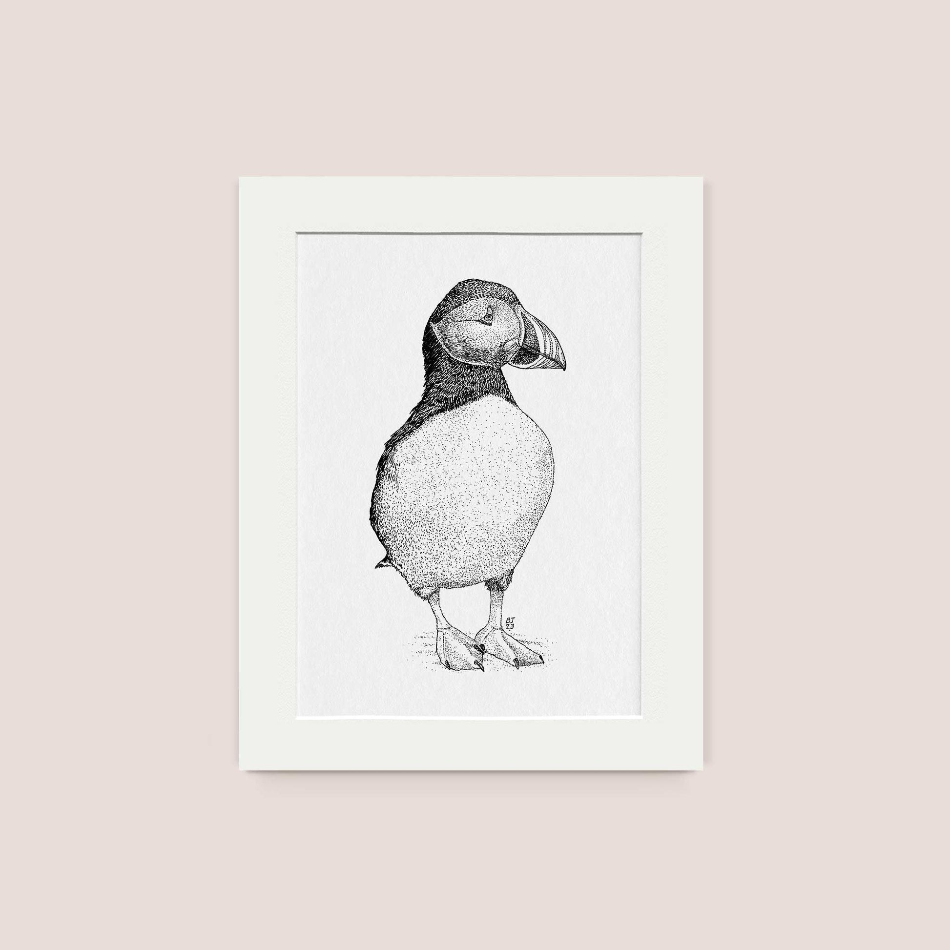 Puffin Black & White print - Bejojoart