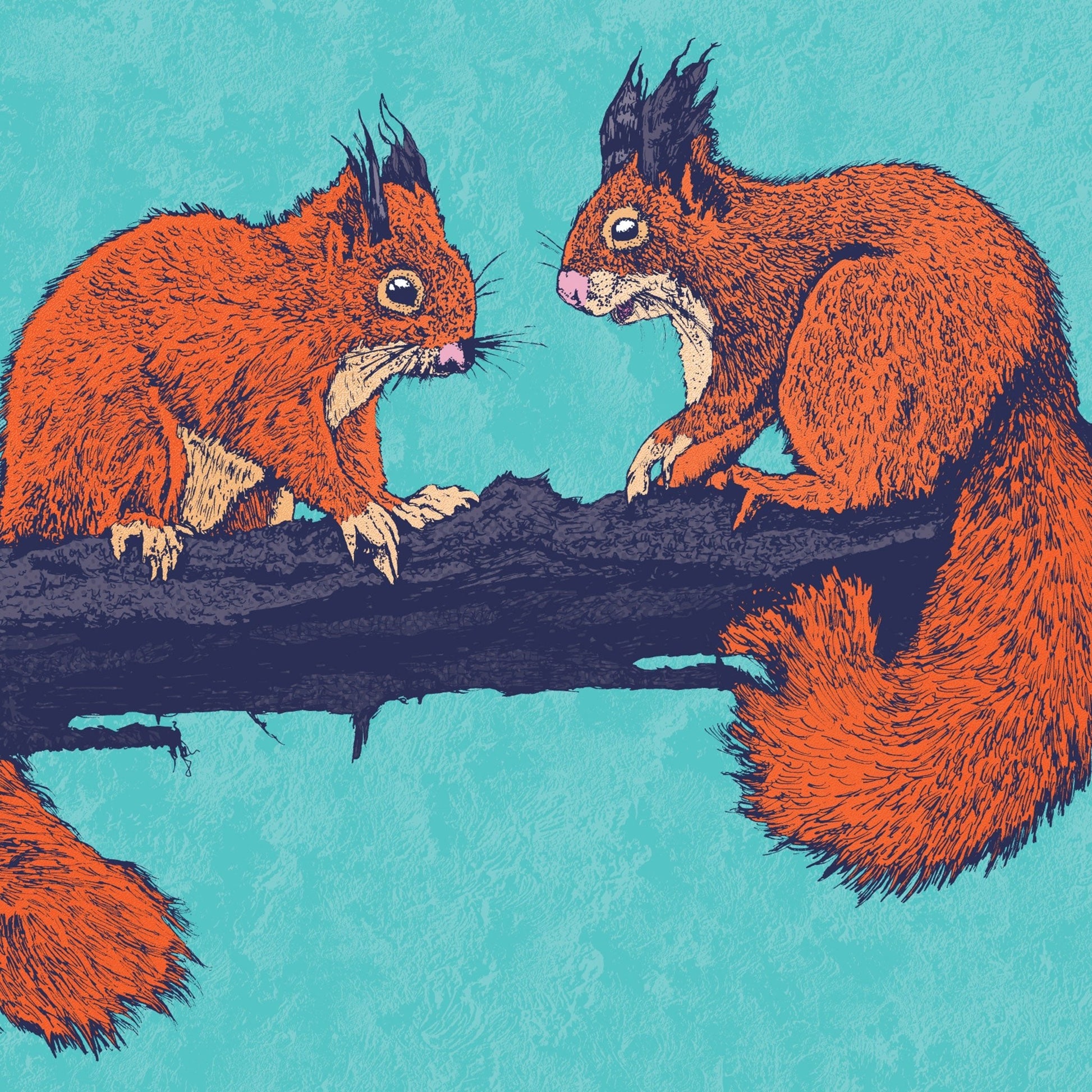 Red squirrels - Bejojoart